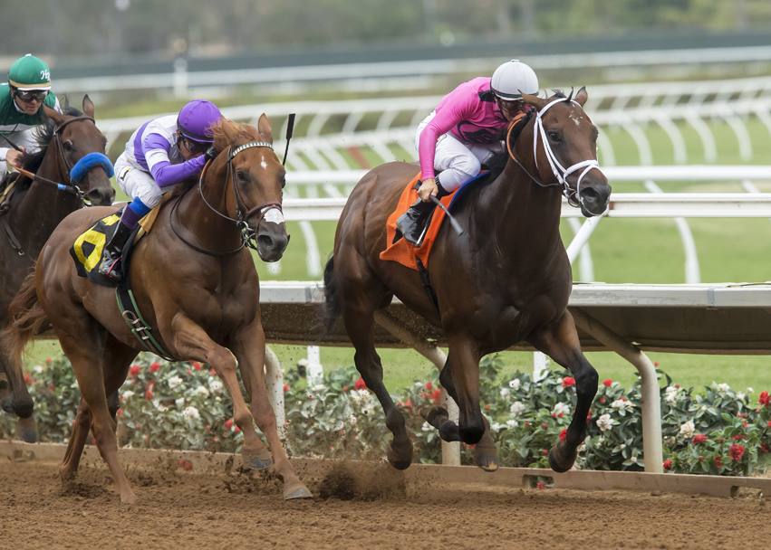 Ippica. Real Good Deal Stakes. California. (Ap)